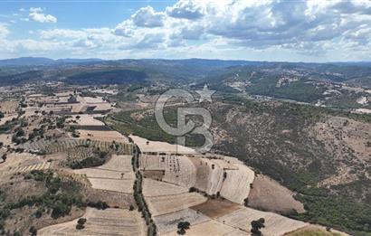 BALIKESİR CİNGE DE FIRSAT ARSA KÖYLERE ÇOK YAKIN VERİMLİ ARAZİ