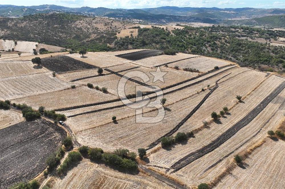 BALIKESİR CİNGE DE FIRSAT ARSA KÖYLERE ÇOK YAKIN VERİMLİ ARAZİ