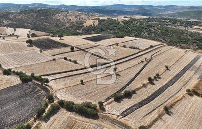 BALIKESİR CİNGE DE FIRSAT ARSA KÖYLERE ÇOK YAKIN VERİMLİ ARAZİ