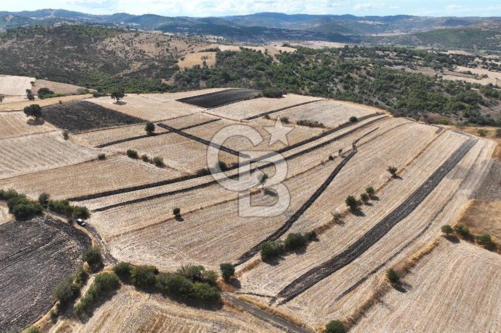 BALIKESİR CİNGE DE FIRSAT ARSA KÖYLERE ÇOK YAKIN VERİMLİ ARAZİ