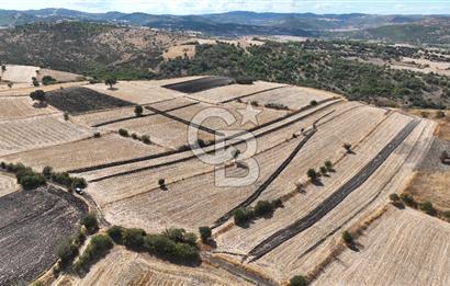 BALIKESİR CİNGE DE FIRSAT ARSA KÖYLERE ÇOK YAKIN VERİMLİ ARAZİ