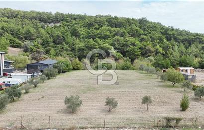 İZMİR BORNOVA KARAÇAM ANAYOL ÜZERİNDE SATILIK ARSA