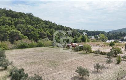 İZMİR BORNOVA KARAÇAM ANAYOL ÜZERİNDE SATILIK ARSA