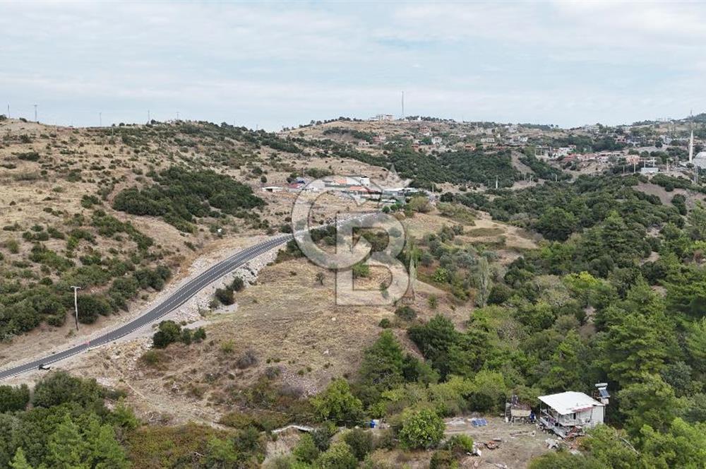 iZMİR/BORNOVA/BEŞYOL YOLA CEPHELİ ARSA