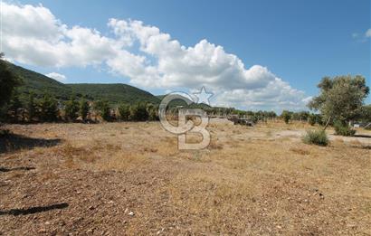 URLA ÇEŞMEALTIN’da SATILIK ARAZİ