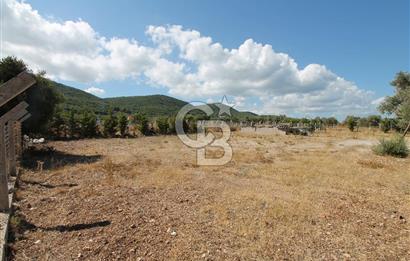 URLA ÇEŞMEALTIN’da SATILIK ARAZİ