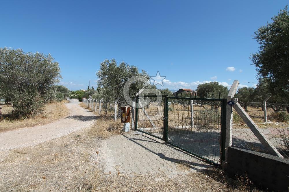 URLA ÇEŞMEALTIN’da SATILIK ARAZİ