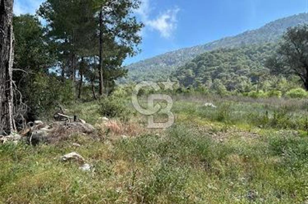 ANTALYA KUMLUCA KARAÖZ KOYU LİKYA YOLUNDA SATILIK 3300M2 ARSA