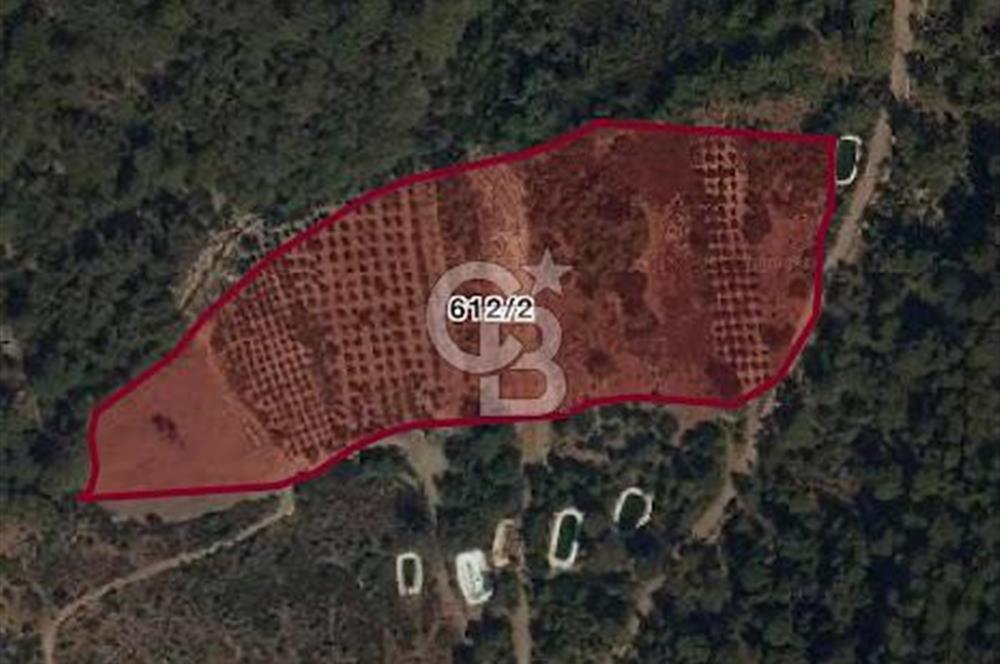 ANTALYA KUMLUCA KARAÖZ KOYU LİKYA YOLUNDA SATILIK 3300M2 ARSA