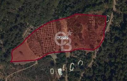 ANTALYA KUMLUCA KARAÖZ KOYU LİKYA YOLUNDA SATILIK 3300M2 ARSA