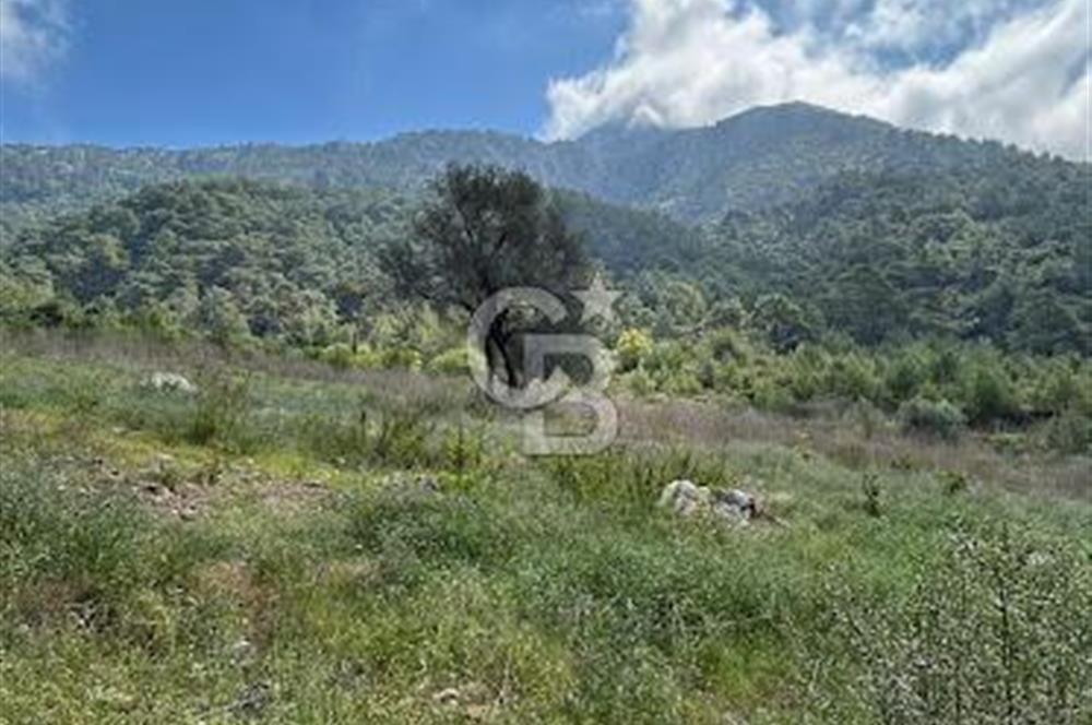 ANTALYA KUMLUCA KARAÖZ KOYU LİKYA YOLUNDA SATILIK 3300M2 ARSA