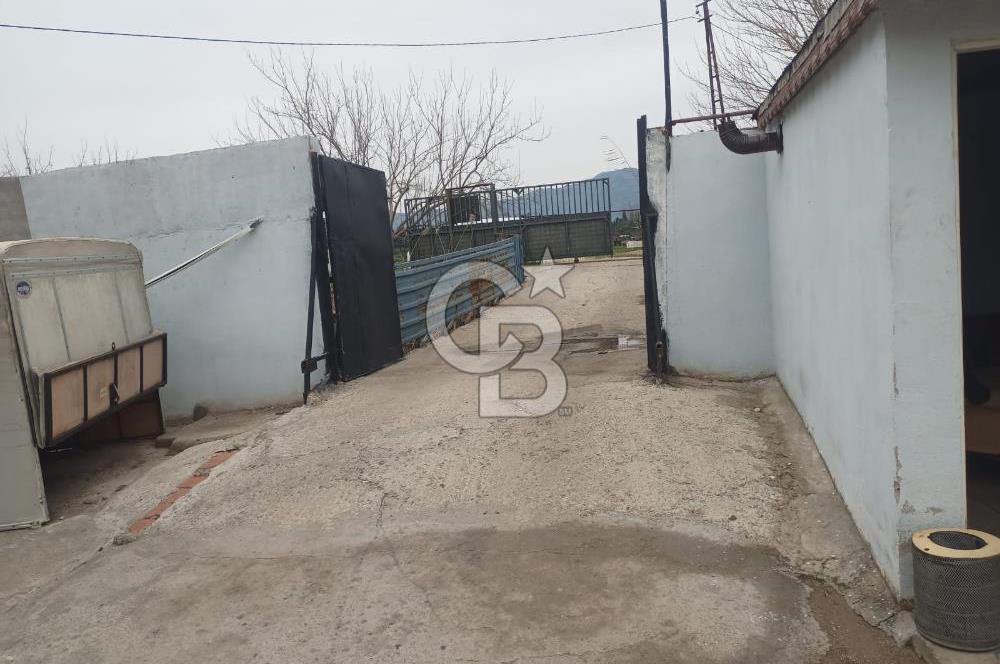 İZMİR MENEMEN CAMİKEBİR'DE 1740 m² SATILIK ÇİFTLİK