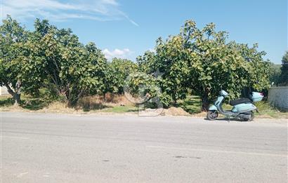 Torbalı Korucuk'ta Yatırımlık Bağ&Bahçe