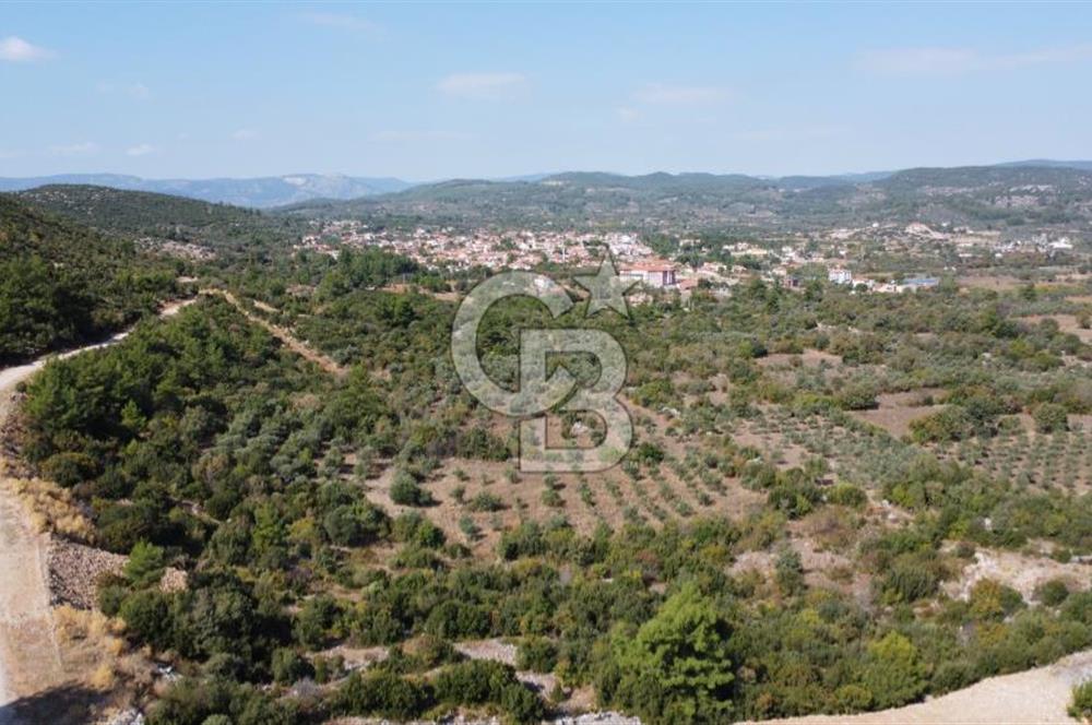 Muğla Yerkesik 2695 m2 Resmi Villa İmarlı Arsalar