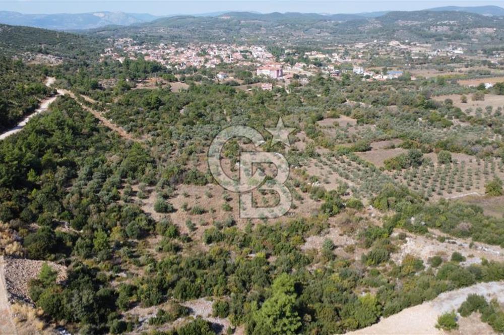 Muğla Yerkesik 2695 m2 Resmi Villa İmarlı Arsalar