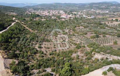 Muğla Yerkesik 2695 m2 Resmi Villa İmarlı Arsalar