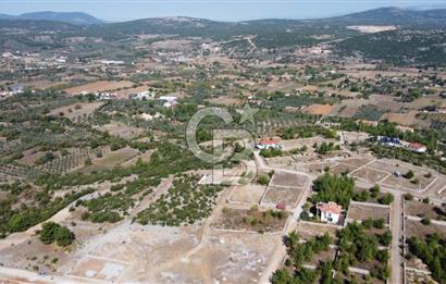 Muğla Yerkesik 2695 m2 Resmi Villa İmarlı Arsalar