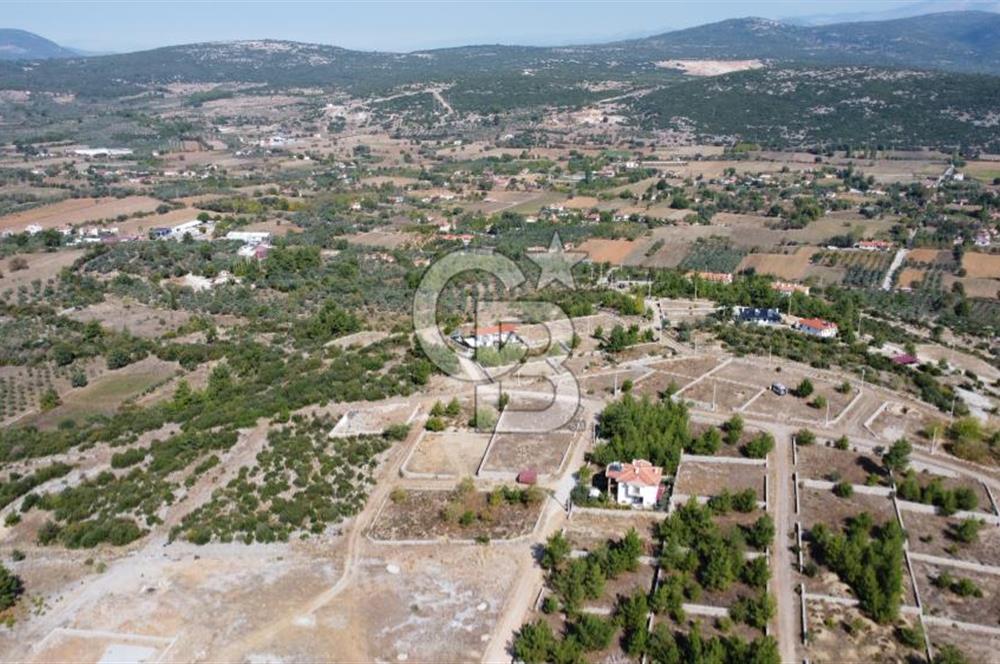 Muğla Yerkesik 2695 m2 Resmi Villa İmarlı Arsalar