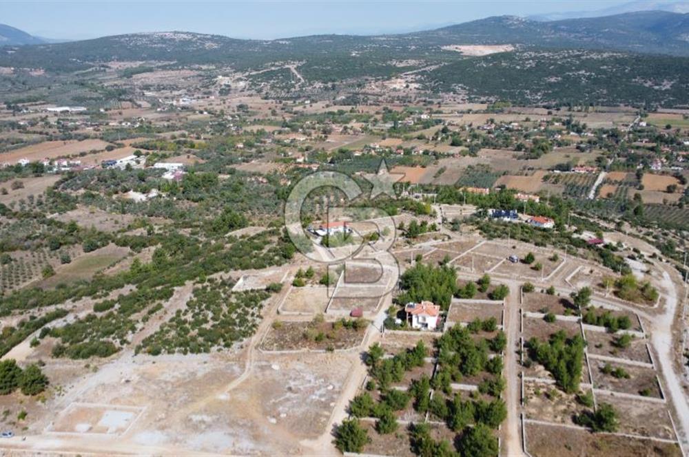 Muğla Yerkesik 2695 m2 Resmi Villa İmarlı Arsalar