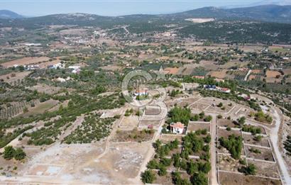 Muğla Yerkesik 2695 m2 Resmi Villa İmarlı Arsalar