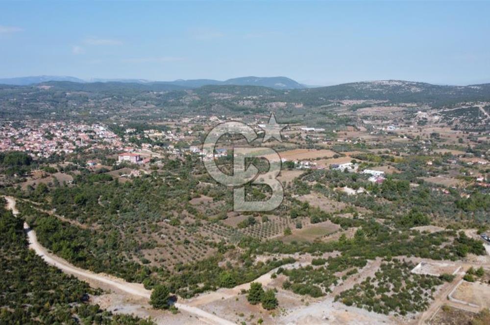 Muğla Yerkesik 2695 m2 Resmi Villa İmarlı Arsalar