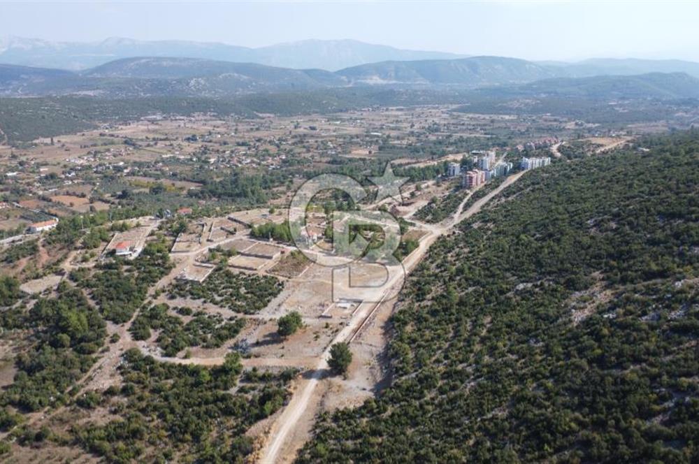 Muğla Yerkesik 2695 m2 Resmi Villa İmarlı Arsalar