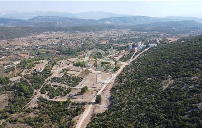 Muğla Yerkesik 2695 m2 Resmi Villa İmarlı Arsalar