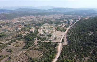 Muğla Yerkesik 2695 m2 Resmi Villa İmarlı Arsalar