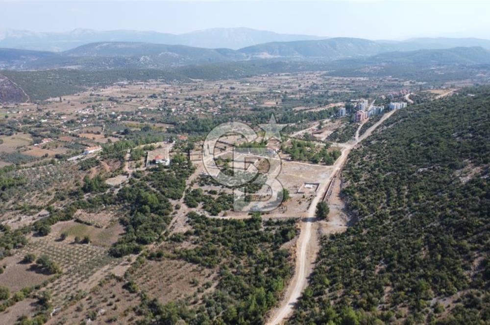 Muğla Yerkesik 2695 m2 Resmi Villa İmarlı Arsalar