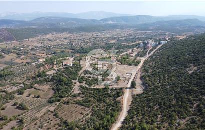 Muğla Yerkesik 2695 m2 Resmi Villa İmarlı Arsalar