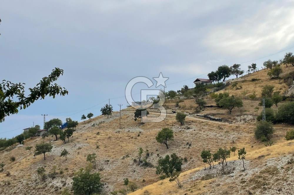 CB'DEN MUHTEŞEM DOĞA MANZARALI GÖLLÜ'DE SATILIK BAĞ