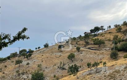 CB'DEN MUHTEŞEM DOĞA MANZARALI GÖLLÜ'DE SATILIK BAĞ