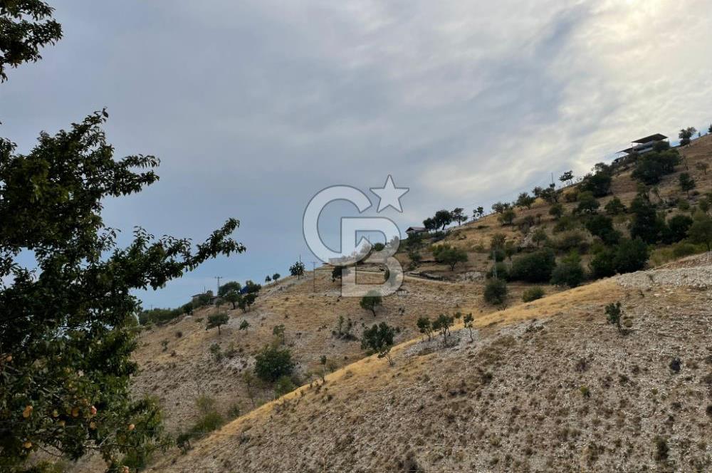 CB'DEN MUHTEŞEM DOĞA MANZARALI GÖLLÜ'DE SATILIK BAĞ