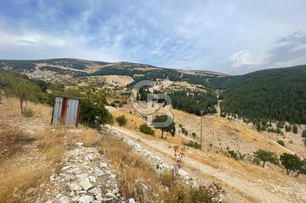 CB'DEN MUHTEŞEM DOĞA MANZARALI GÖLLÜ'DE SATILIK BAĞ