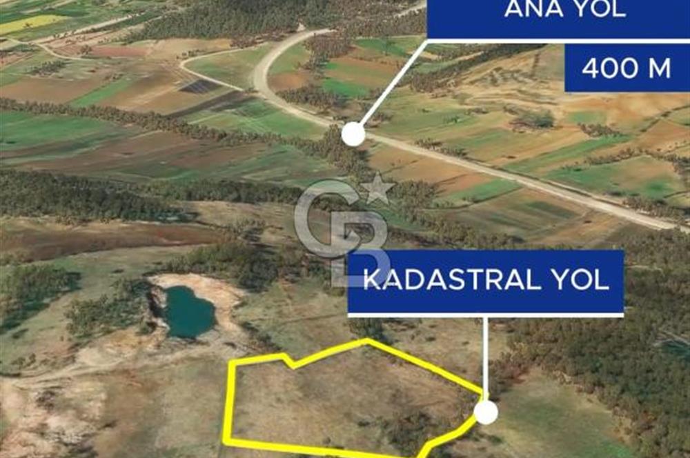 Çanakkale Yenice Çınarcık'ta 12.125 m2 Satılık Yolu Olan Tarla 