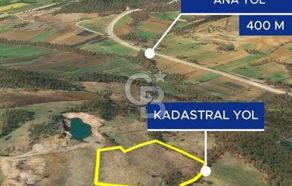 Çanakkale Yenice Çınarcık'ta 12.125 m2 Satılık Yolu Olan Tarla 