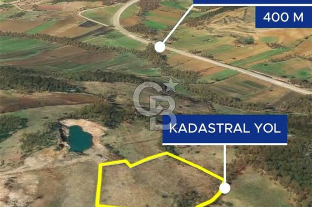 Çanakkale Yenice Çınarcık'ta 12.125 m2 Satılık Yolu Olan Tarla 