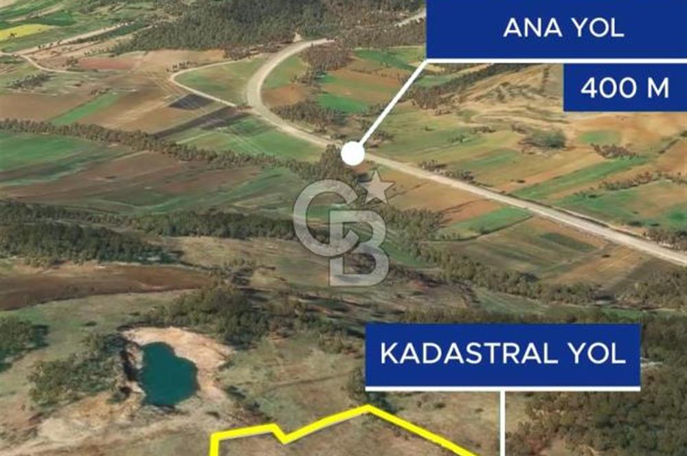 Çanakkale Yenice Çınarcık'ta 12.125 m2 Satılık Yolu Olan Tarla 