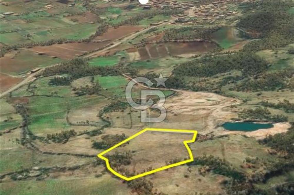 Çanakkale Yenice Çınarcık'ta 12.125 m2 Satılık Yolu Olan Tarla 