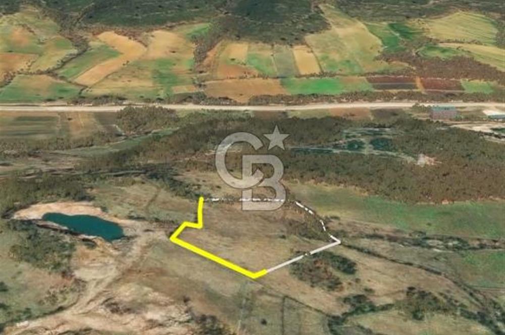 Çanakkale Yenice Çınarcık'ta 12.125 m2 Satılık Yolu Olan Tarla 