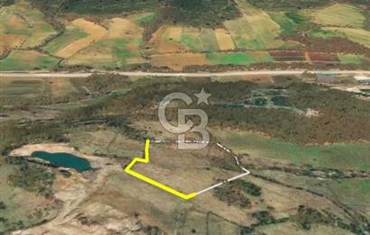 Çanakkale Yenice Çınarcık'ta 12.125 m2 Satılık Yolu Olan Tarla 