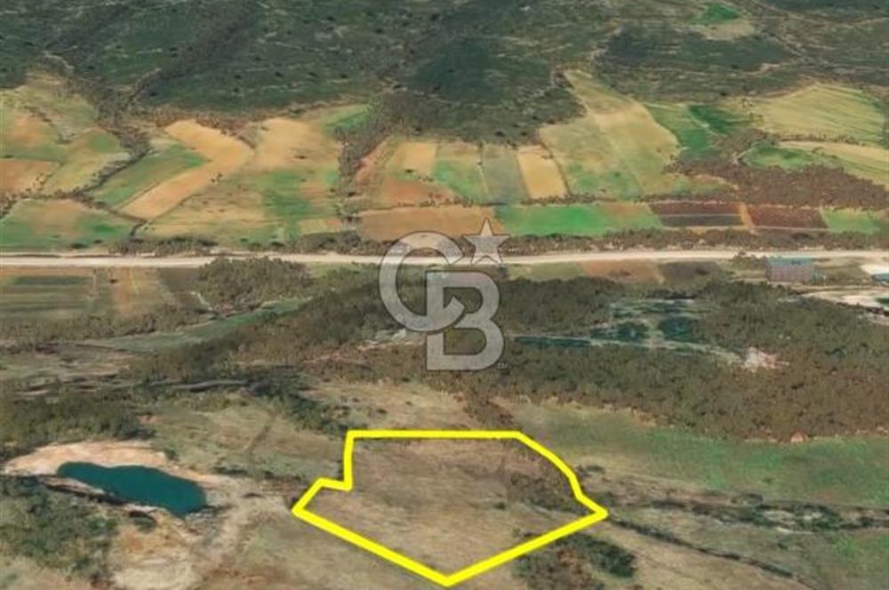 Çanakkale Yenice Çınarcık'ta 12.125 m2 Satılık Yolu Olan Tarla 