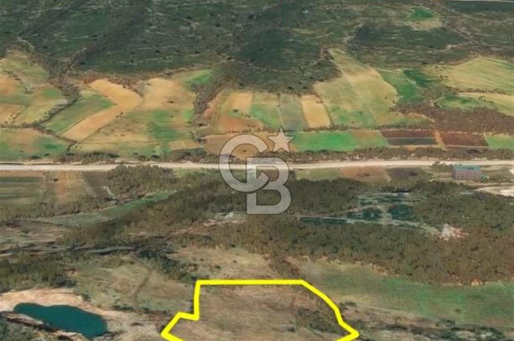 Çanakkale Yenice Çınarcık'ta 12.125 m2 Satılık Yolu Olan Tarla 