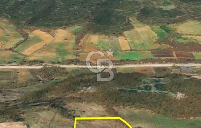 Çanakkale Yenice Çınarcık'ta 12.125 m2 Satılık Yolu Olan Tarla 