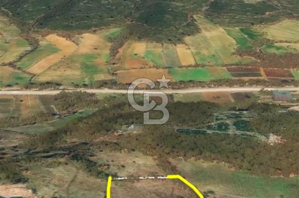 Çanakkale Yenice Çınarcık'ta 12.125 m2 Satılık Yolu Olan Tarla 