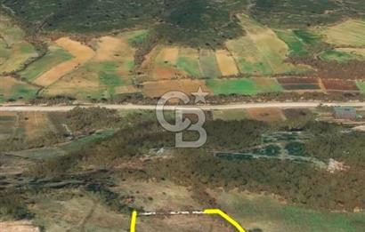 Çanakkale Yenice Çınarcık'ta 12.125 m2 Satılık Yolu Olan Tarla 