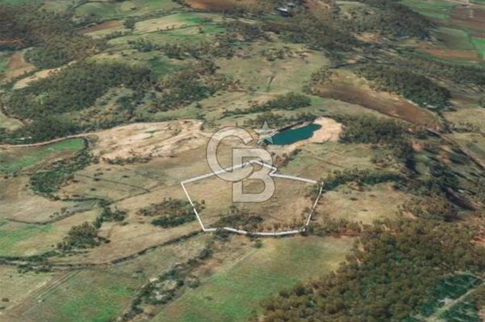 Çanakkale Yenice Çınarcık'ta 12.125 m2 Satılık Yolu Olan Tarla 