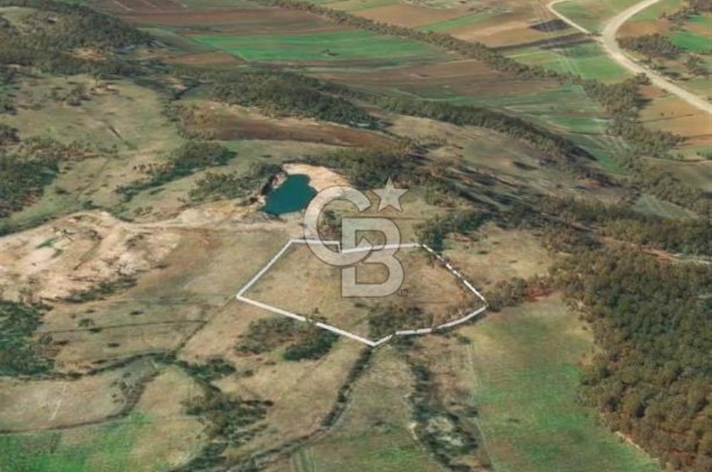 Çanakkale Yenice Çınarcık'ta 12.125 m2 Satılık Yolu Olan Tarla 