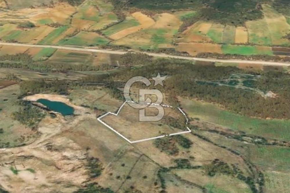 Çanakkale Yenice Çınarcık'ta 12.125 m2 Satılık Yolu Olan Tarla 