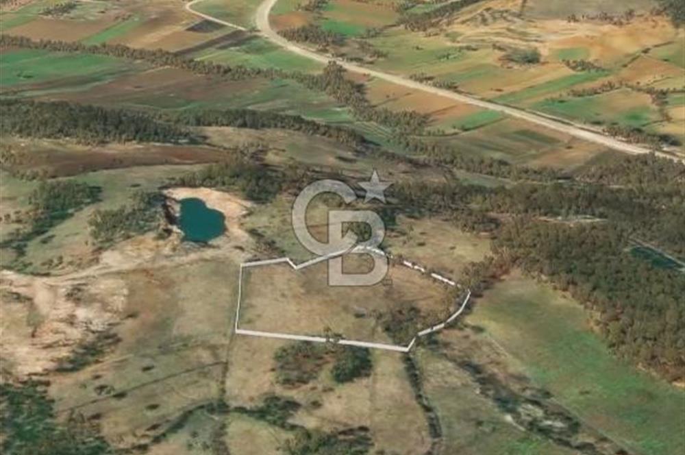 Çanakkale Yenice Çınarcık'ta 12.125 m2 Satılık Yolu Olan Tarla 